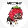 stuartlittleanti