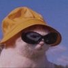 kikimehkiwi