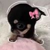 ariana_lovely4