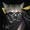 durit0s.cubun