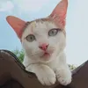 usermbfmlsskki