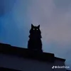 _kill4m4ry_