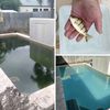 thatpoolguy