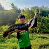 F ï ț  🎣