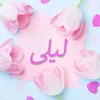 mohamed_badaoui0