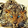 haitham2234