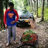 hafizrahim8