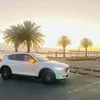 dtzest