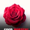 ammad_anwar1