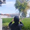 alyaazaraa2