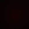 rodger_241