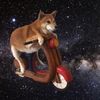 spacemotodog