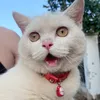 nguyenhuutin1