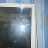 _pandu151