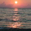 loredanaligreci