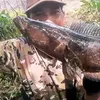 iyanmancing