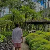 yaxen_kn