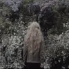 pjgdawjtdgw12