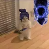 carterrolph
