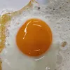 kp_rudy