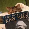 mr.leftcat23