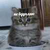 dead_vaquita