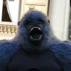 michalchmielu