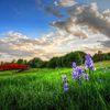 artist_546