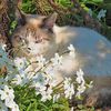 sarah.likes.plants