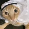 ruqialuvsyou