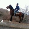 _camal_012