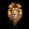 kattan_karagholi