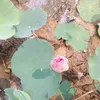 userh3drrtghdb