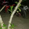 joelperalta5728