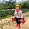 phamcherry7388