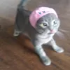 pixxieana