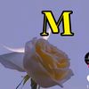 mehrantoor4