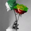 afzalahmed4592
