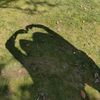 niwa_leo