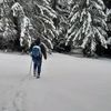 vlad_daniel11