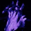 bloomednotes