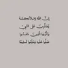 mh_313_sa