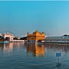 _simar_rai