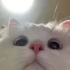 na_nooona