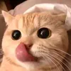 duongphan06