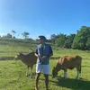 andry_755