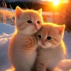 my.rhumi