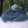 birbinborb