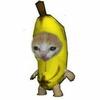 sadbananacat