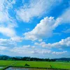 nguyenhiep19858